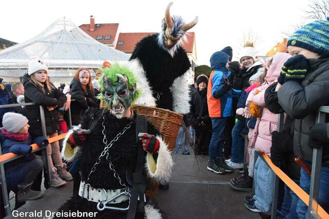 Foto: Gerald Dreisiebner