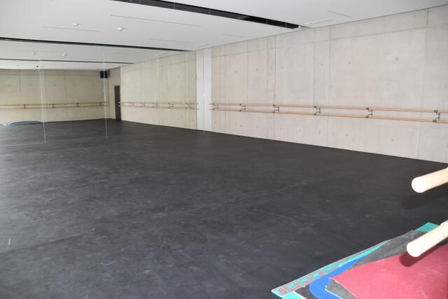 Der Tanzsaal | Foto: Preineder