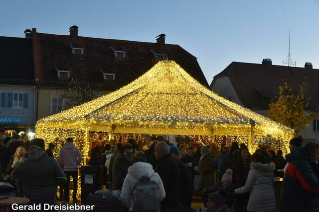 Foto: Gerald Dreisiebner