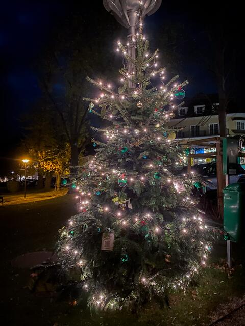 Foto: Alejandra Ortiz