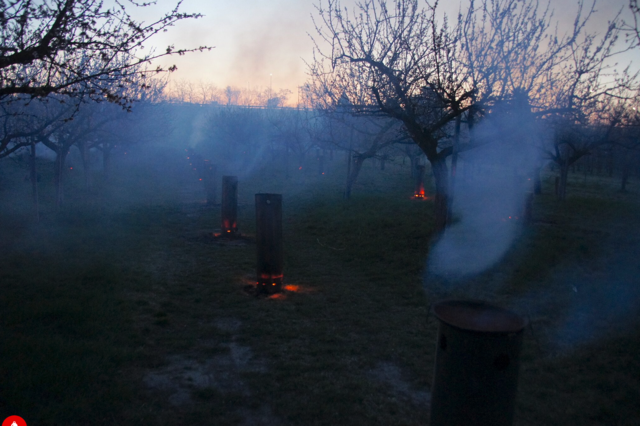 Einheizen im Obstgarten: Bei dem extremen Frost reichten diese Maßnahmen nicht aus, um die Marillenernte zu retten. | Foto: Necker