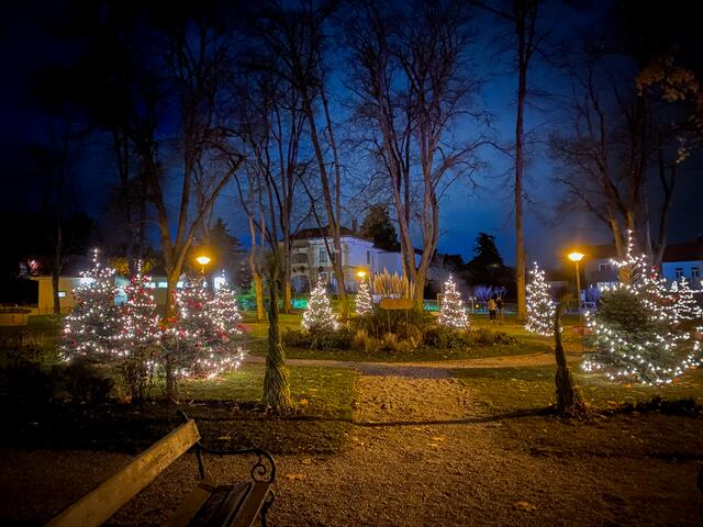 Foto: Alejandra Ortiz