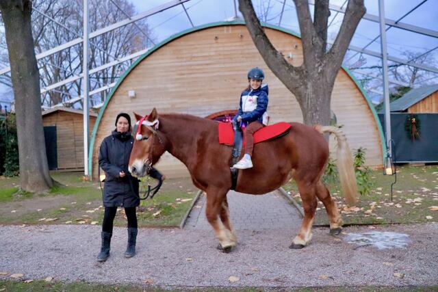 Foto: Alejandra Ortiz