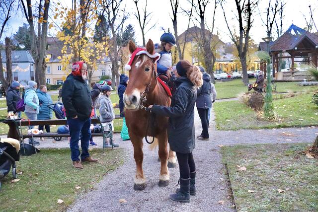 Foto: Alejandra Ortiz