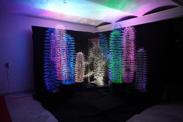 Seit 25 Jahren macht Christoph Luckeneder Lichtkunst und nahm damit auch schon an vielen internationalen Ausstellungen teil, wie etwa der Contemporary Instanbul 2013 oder dem Moscow Light Festival 2014. | Foto: Bichler