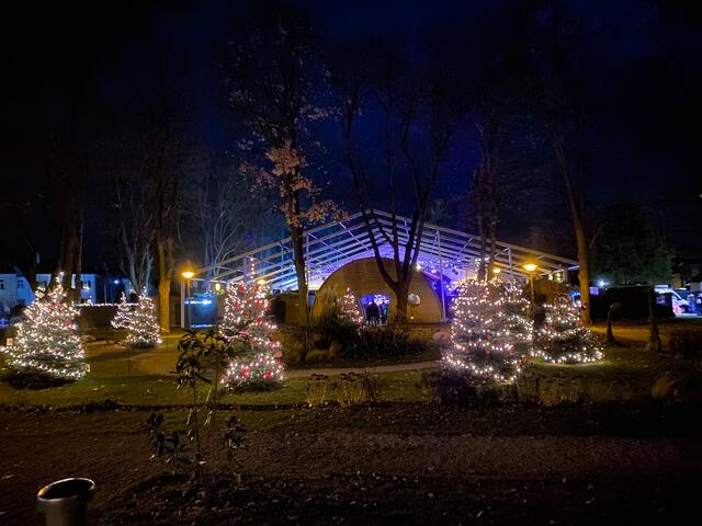 Foto: Alejandra Ortiz