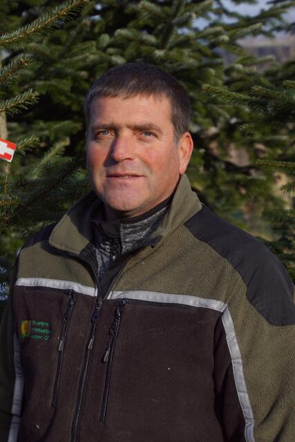Nikolaus Starlinger verkauft in Hartmannsdorf (Gemeinde Haslach) seine Christbäume.  | Foto: Eder