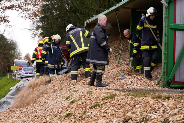 Foto: fotokerschi.at/Panchuk