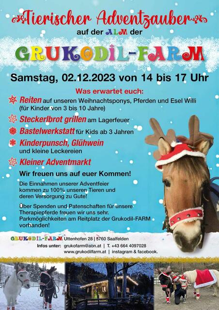 Auf diesem Plakat finden sich die wesentlichen Programmpunkte des Adventzaubers auf der Gruko-Alm zum Nachlesen. | Foto: Grukodilfarm