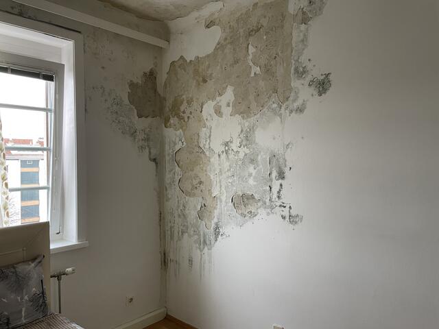 Foto: Luise Schmid