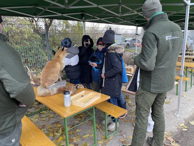 Foto: Luise Schmid