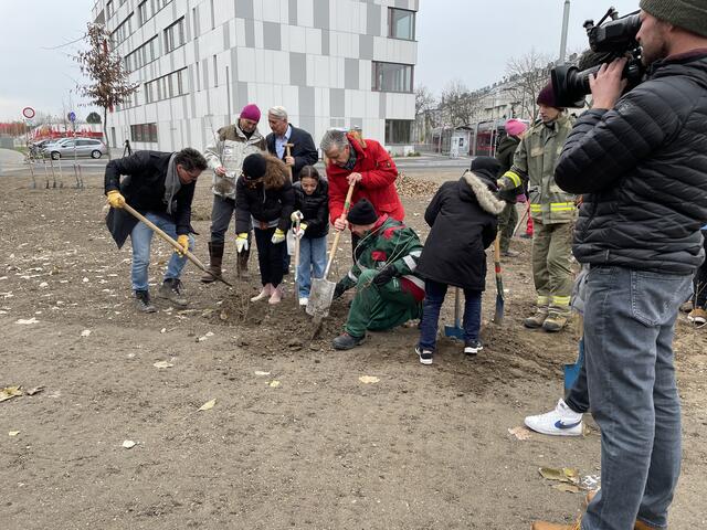 Foto: Luise Schmid