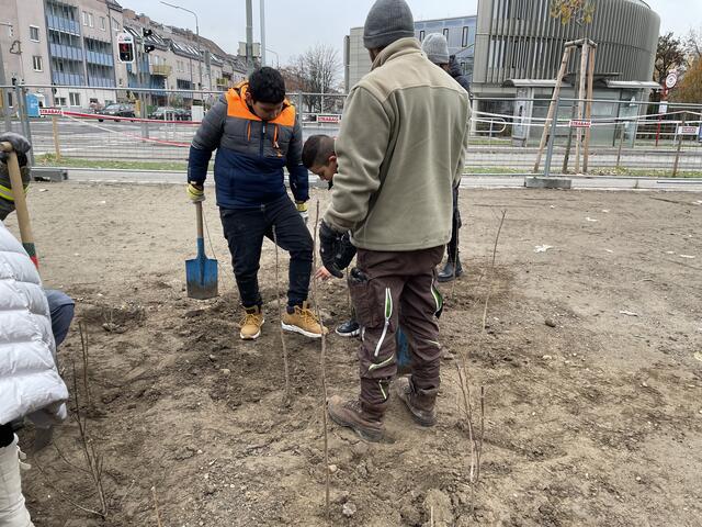 Foto: Luise Schmid