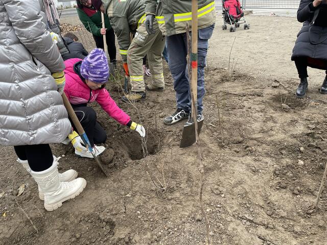 Foto: Luise Schmid