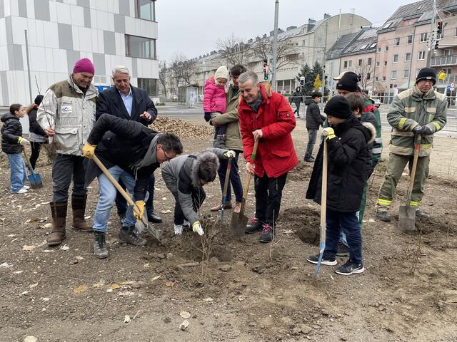 Foto: Luise Schmid