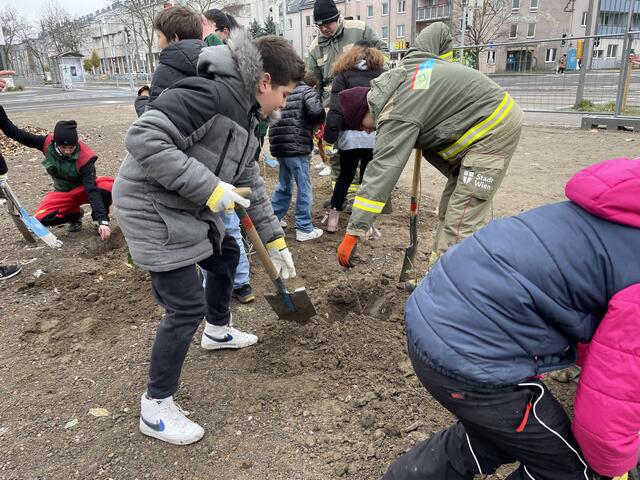Gepflanzt wurden verschiedene heimische Baum- und Strauchsetzlinge. Dabei werden diese sehr eng, rund drei bis vier Stück pro Quadratmeter, in die Erde gepflanzt.  | Foto: Luise Schmid