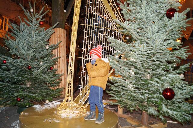 Mate Gajdacsik | Foto: Hannelore Kühmayer