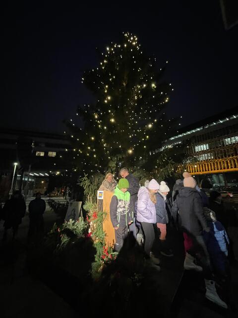 Landeshauptfrau Johanna Mikl-Leitner und Ertls Bürgermeister Josef Forster drücken den "Lichtschalter".
