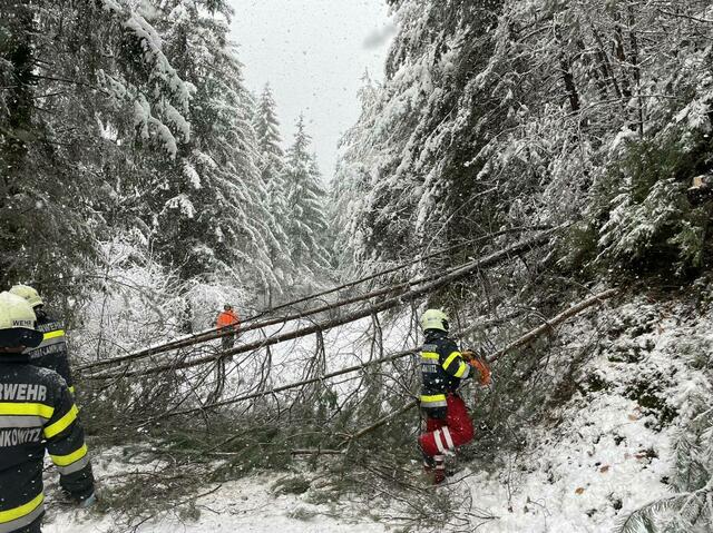 Einige Straßen waren wegen umgestürzter Bäume blockiert, die Gößnitzstraße ist bis auf Weiteres gesperrt. | Foto: FF Maria Lankowitz