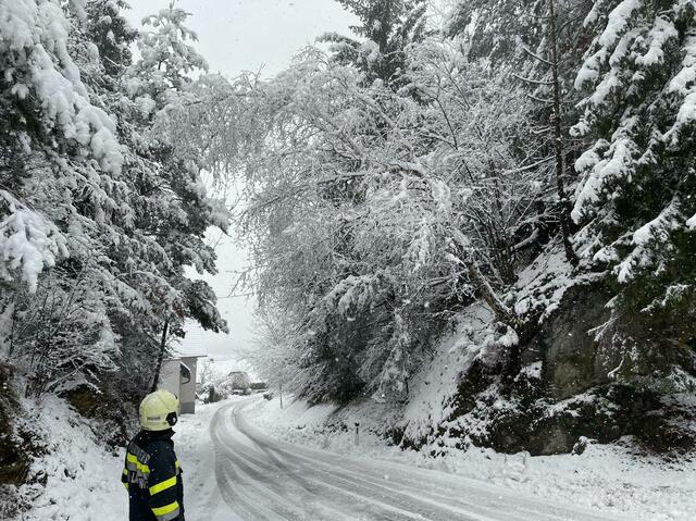 20 Feuerwehren waren am Samstag im Bezirk Voitsberg im Einsatz. | Foto: FF Maria Lankowitz