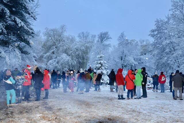 Knapp 5000 Besucher am Samstag bei der traditionellen Adventmeile in Seebenstein  | Foto: Elisabeth Peinsipp