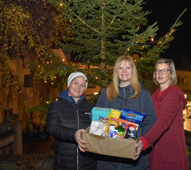 vlnr.: Katja Enzmann, VBGM NR Elisabeth Feichtinger, Sandra Spiessberger-Binder