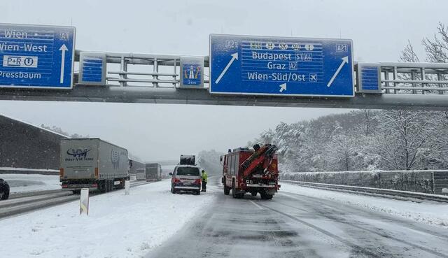 Autos, Lkw und Busse blieben auf der Schneefahrbahn stecken. | Foto: DOKU NÖ