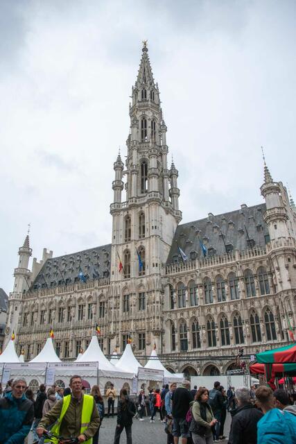 Der Grote Markt am Hauptplatz von Brüssel. | Foto: Claudia Dammerer