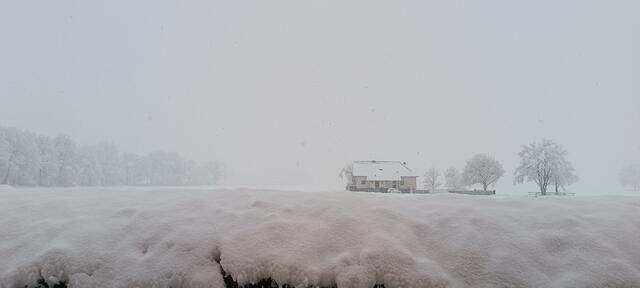 In der Perger Ortschaft Thurnhof. | Foto: Judith Janowetz
