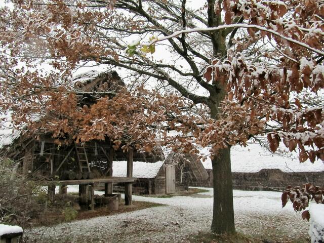 Im Keltendorf Mitterkirchen. | Foto: Theresia Schön