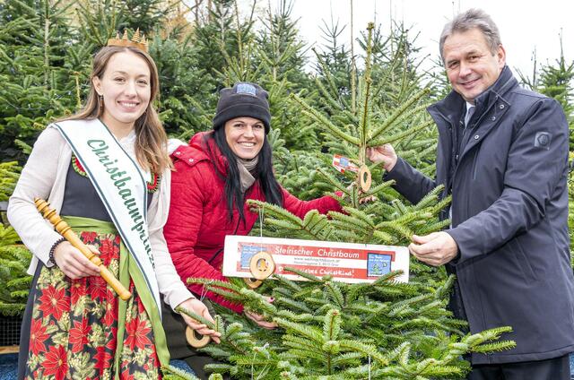 Besuch im satt-grünen Christbaumwald | Foto: LK Fischer