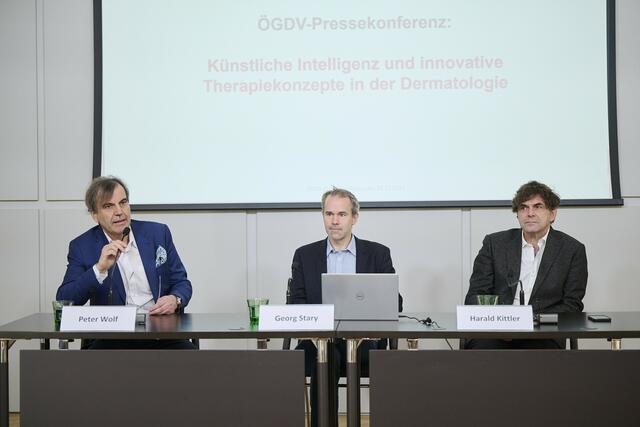 ÖGDV Präsident Univ.-Prof. Dr. Peter Wolf, Assoc.-Prof. Priv.-Doz. Dr. Georg Stary, Ao. Univ.-Prof. Dr. Harald Kittler | Foto: ÖGDV/APA-Fotoservice/Hörmandinger