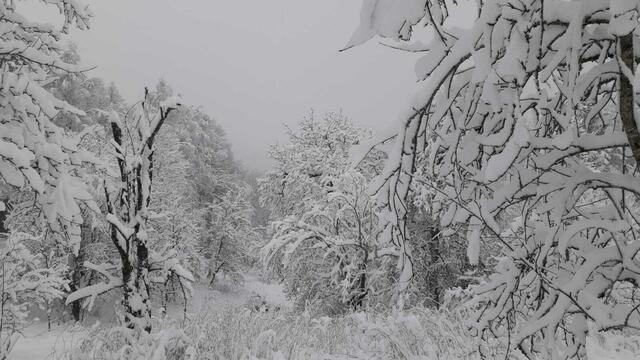 In der Perger Ortschaft Thurnhof. | Foto: Judith Janowetz