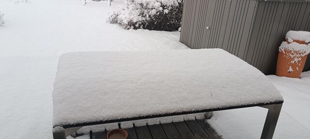 In der Perger Ortschaft Thurnhof. | Foto: Judith Janowetz