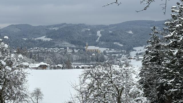 Blick auf die Stiftskirche in Waldhausen im Strudengau. | Foto: Fam. Hinterdorfer