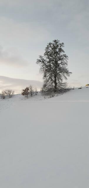 Fotos aus dem winterlichen Allerheiligen | Foto: Johann Angerer