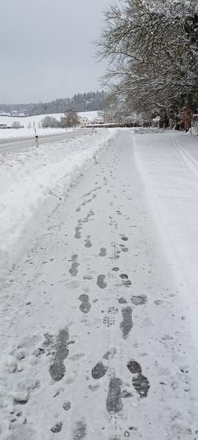 Perg Auhof | Foto: Judith Janowetz