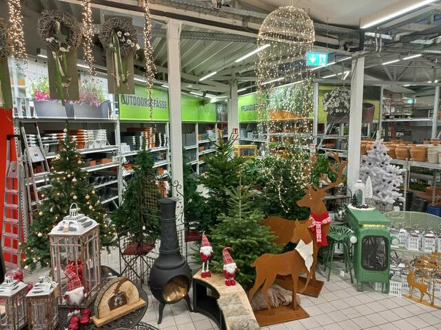 Die Mitarbeiterinnen und Mitarbeiter bereiteten den Baumarkt auf Advent vor. | Foto: Hagebau Vogl