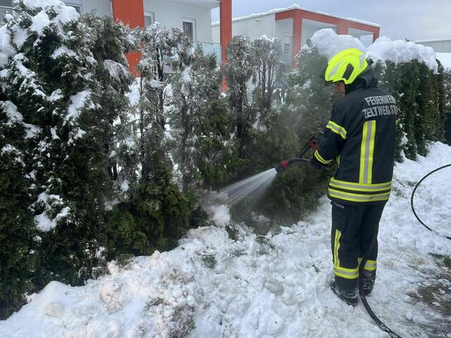 Durch den falschen Umgang mit Pyrotechnik fingen sechs Thujen in Zelweg Feuer. | Foto: FF Zeltweg Stadt / Facebook