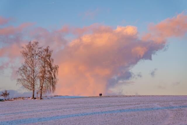 Foto: Richard Mayr