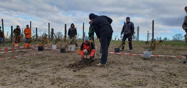 Foto: Citizens Forests Wolkersdorf