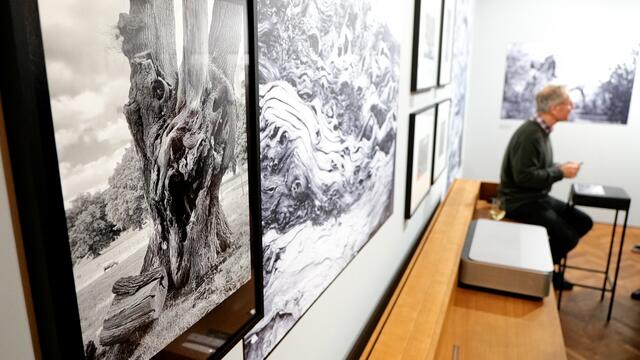 Franklins Ausstellung ist bis zum 24. Februar zu bestaunen.  | Foto: Maximilian Spitzauer
