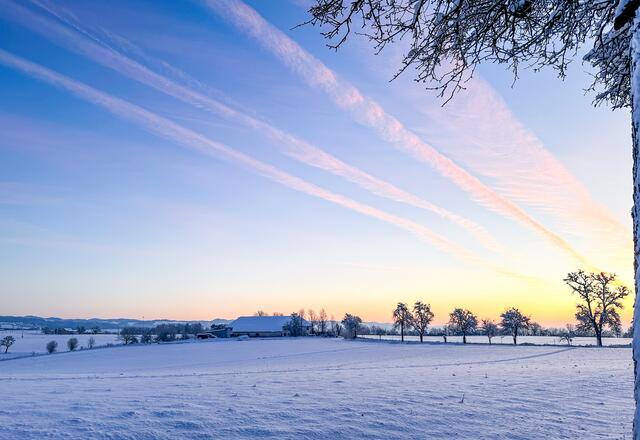 Ried in der Riedmark | Foto: Julia Eisterer