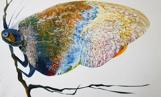 Bilder als Experimente mit Farben und Techniken. | Foto: Bacher