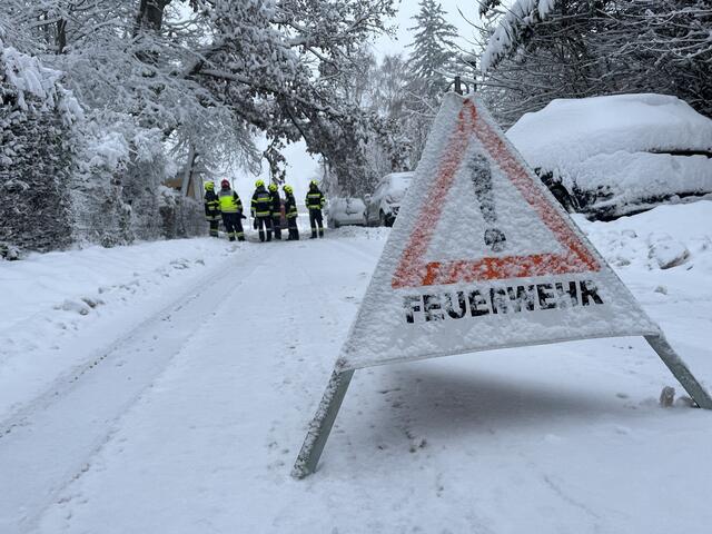 Foto: AFKDO Purkersdorf