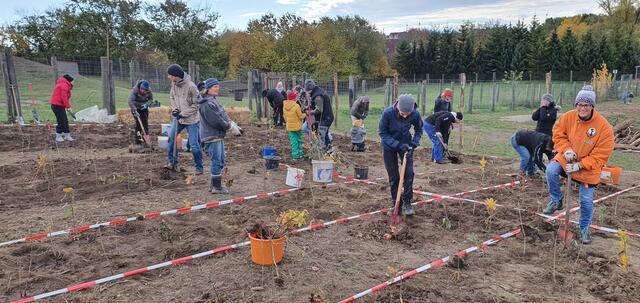 Foto: Citizens Forests Wolkersdorf