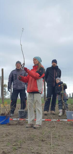 Foto: Citizens Forests Wolkersdorf
