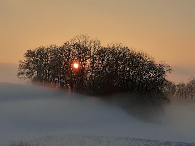 Wäldchen oberhalb des Birkhofs, Gemeinde Langenstein. | Foto: Eckhart Herbe