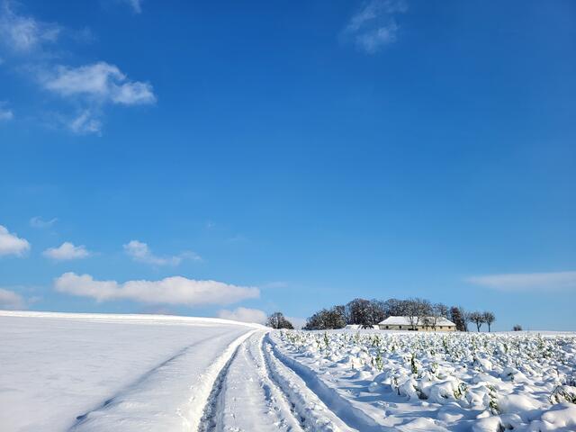 Weg zum Bauernhof "Schöfl" nahe der Gemeindegrenze St. Georgen und Langenstein | Foto: Eckhart Herbe
