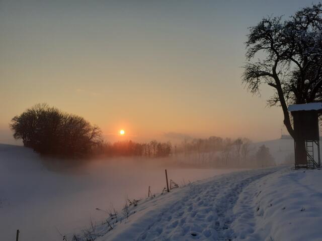 In der Nähe des Reiterhofs Kesselberg oberhalb von Langenstein | Foto: Eckhart Herbe